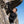 Finn Zip 210 Homme - Black Laax - Baselayers - Fjork Merino