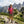 Bjork MC 140 Femme - Pink Davos - T-shirt - Fjork Merino