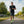 T-Shirt Haute Performance Homme – FJORKTec