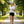 T-Shirt Haute Performance Femme – FJORKTec